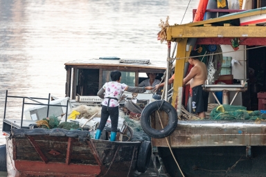 內港一帶水面廢品收購船