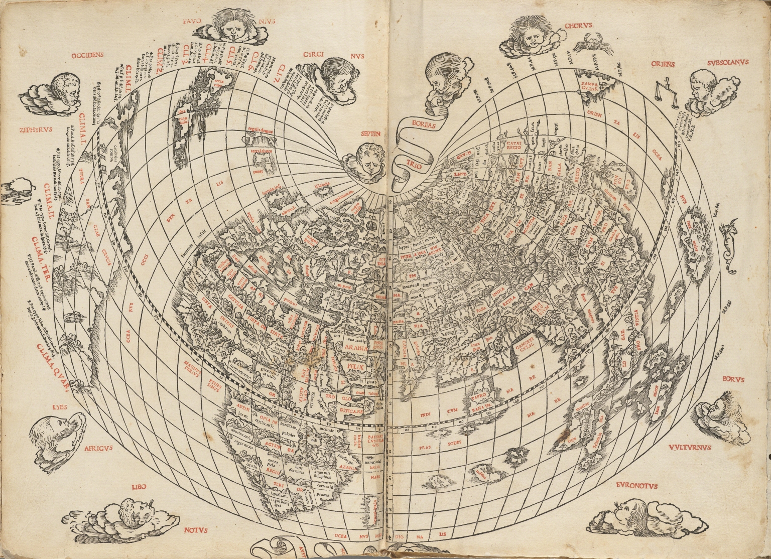 Sylvanus cordi form world map